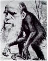 다윈을 원숭이로 조롱하는 풍자삽화.jpg