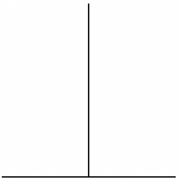 파일:가로-세로 착시.png