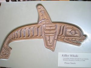 Killer Whale.jpg