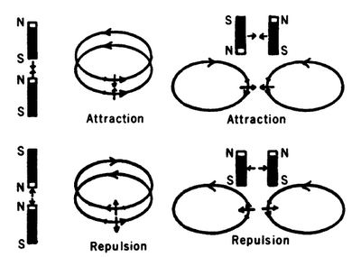 그림 2. 전류 회로 사이의 힘을 자석과 같은 방식으로 상상하면서, 앙페르는 자석의 작용을 전류 요소들(전류의 짧은 부분들) 사이의 힘으로 환원하게 되었다. 단순화된 형태에서, 인접한 평행 요소들은 끌어당기고 인접한 역평행 요소들은 반발한다.